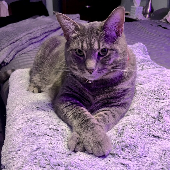 LIVE SHOW LISTING! @mary_jeannette is live!  Come hang out! - Picture 13 of 17